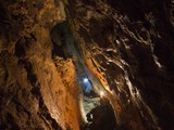IMG_3519
